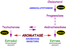 AROMATASE INHIBITORS