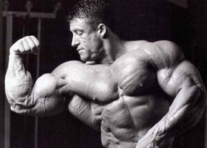 Bodybuilding Supplements